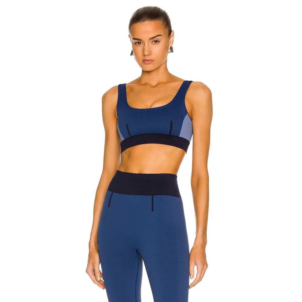 Ernest Leoty Aurore Sports‎ Bra in Blue Size Large L Pullover, EUC Hard to Find